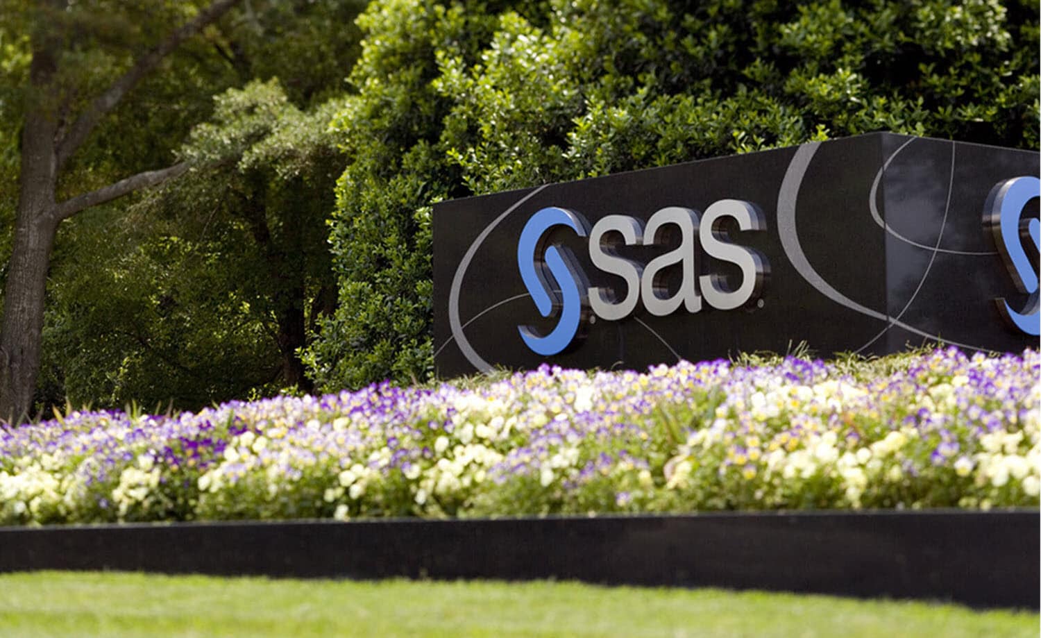 SAS Boosts Agentic AI and Governance With Platform Updates